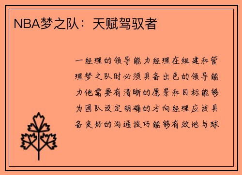 NBA梦之队：天赋驾驭者